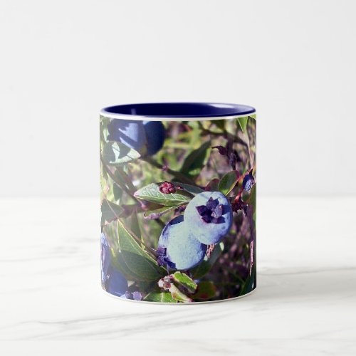 Yummy Blueberries Two-Tone Coffee Mug