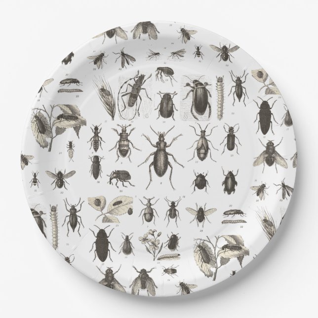 Yummy Bugs Funny Insect Kids Birthday Plates (Front)