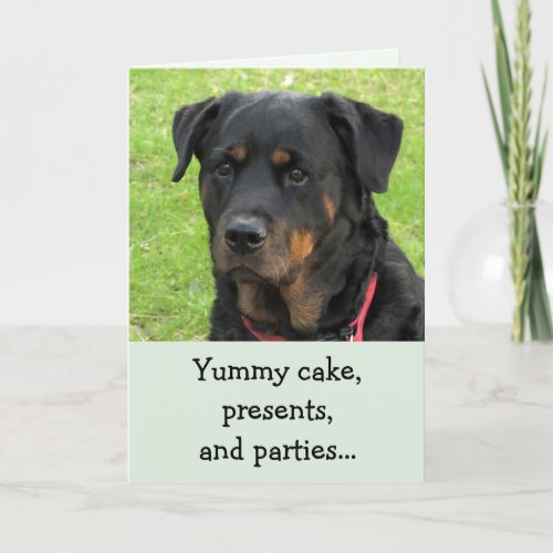 Yummy Cake Rottweiler Birthday Card