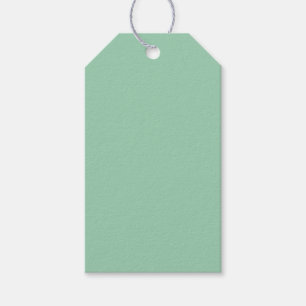 Yummy Mint Green Solid Color Gift Tags