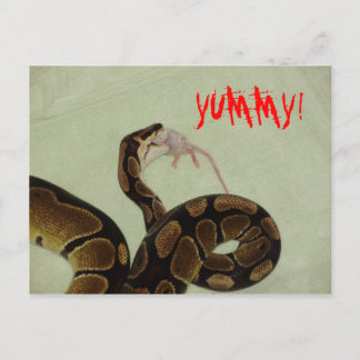 Yummy Postcard