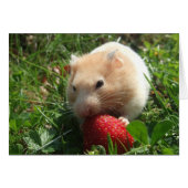 Yummy Strawberry Hammie (Front Horizontal)