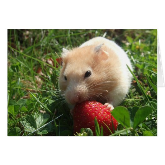 Yummy Strawberry Hammie Cards (Front Horizontal)