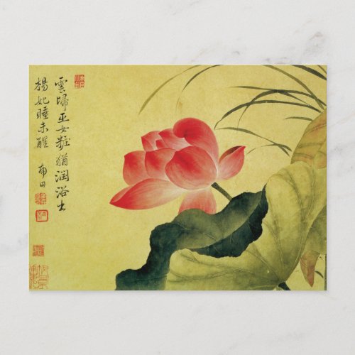Yun Shoupings Lotus Flower Postcard
