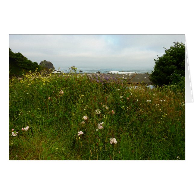 Yurok Loop Trail at Redwood National Park (Front Horizontal)