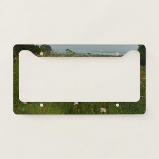 Yurok Loop Trail at Redwood National Park License Plate Frame
