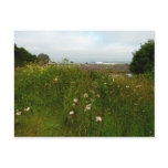 Yurok Loop Trail at Redwood National Park Postcard