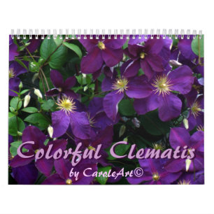Z Colorful Clematis 2013 Calendar