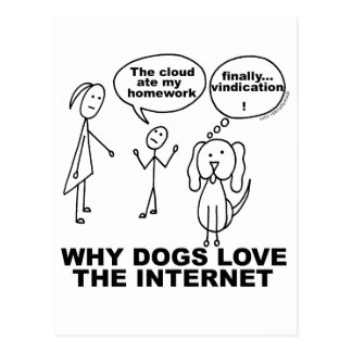 social networking essay usage pew