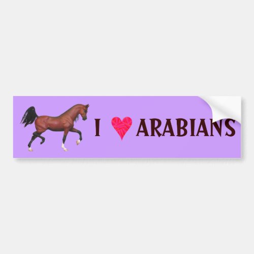 Z I Love Arabians Horse Lover Art Bumper Sticker