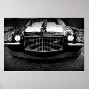 Z POSTER