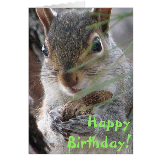 Z Squirrel Dug Up A Peanut Happy Birthday Card | Zazzle