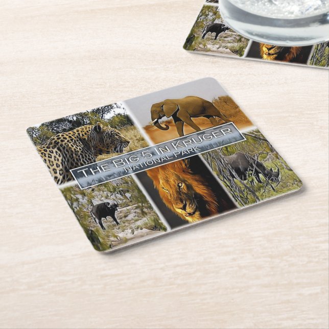 ZA * SOUTH AFRICA -  THE BIG 5 in KRUGER N. P. Square Paper Coaster (Angled)