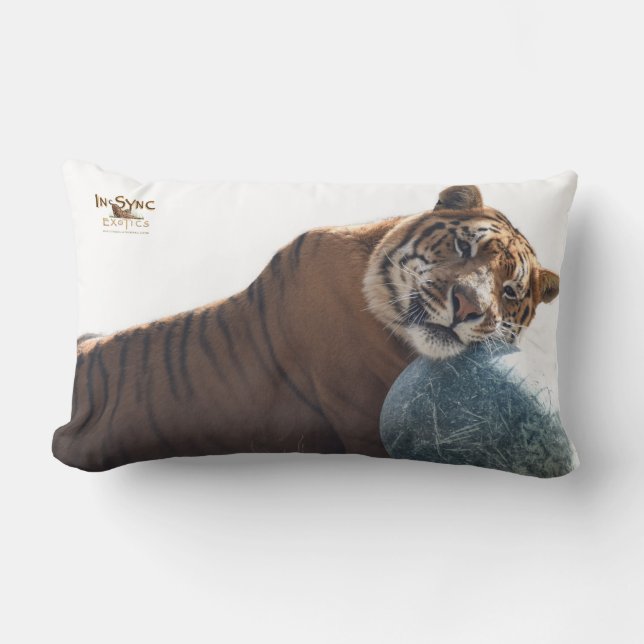 Zachariah's Got Your Back Lumbar Pillow (Front)