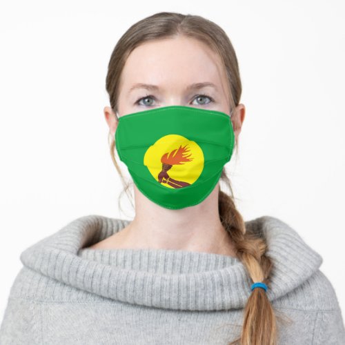 Zaire Congo flag country flag symbol nation ethnic Adult Cloth Face Mask