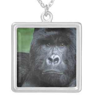 Zaire, Virungas National Park. Portrait of Silver Plated Necklace