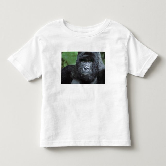 Zaire, Virungas National Park. Portrait of Toddler T-shirt (Front)