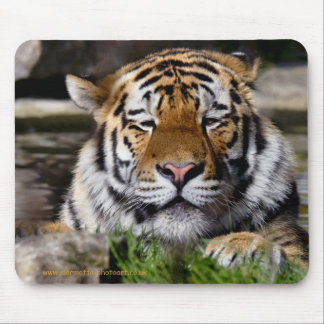 Zambar Tiger Mousemat Mouse Pad