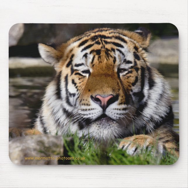 Zambar Tiger Mousemat Mouse Pad (Front)