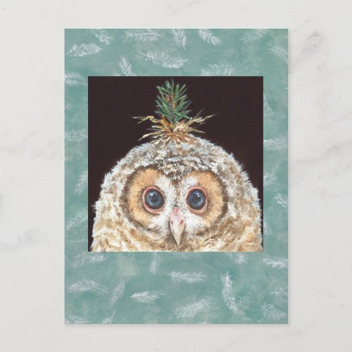 Zane owlet w jack pine postcard