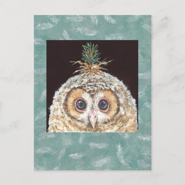 Zane (owlet w jack pine) postcard (Front)