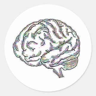 Zany Brainy Classic Round Sticker