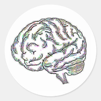 Zany Brainy Classic Round Sticker