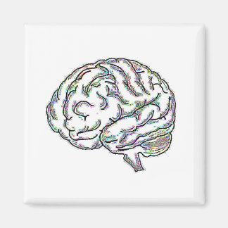 Zany Brainy Magnet