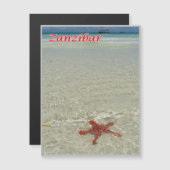 Zanzibar - Sea View - Starfish - (Front/Back)