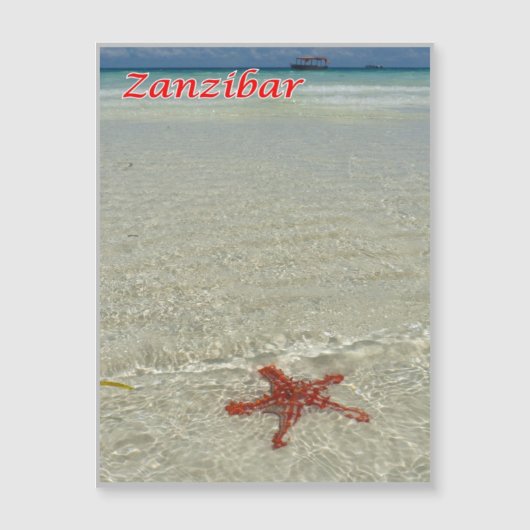 Zanzibar - Sea View - Starfish - (Front)