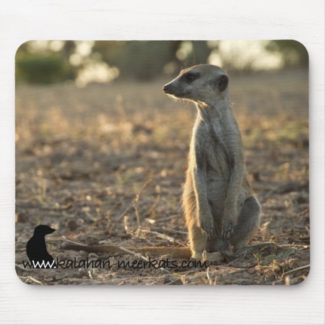 Zaphod 12th Birthday mousepad (Front)