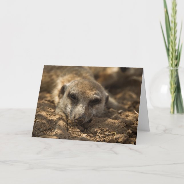 Zaphod's 12th Birthday Card 4 (Front)