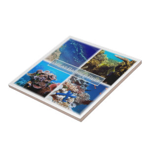 zAU011 THE GREAT BARRIER REEF, Australia, Ceramic Tile
