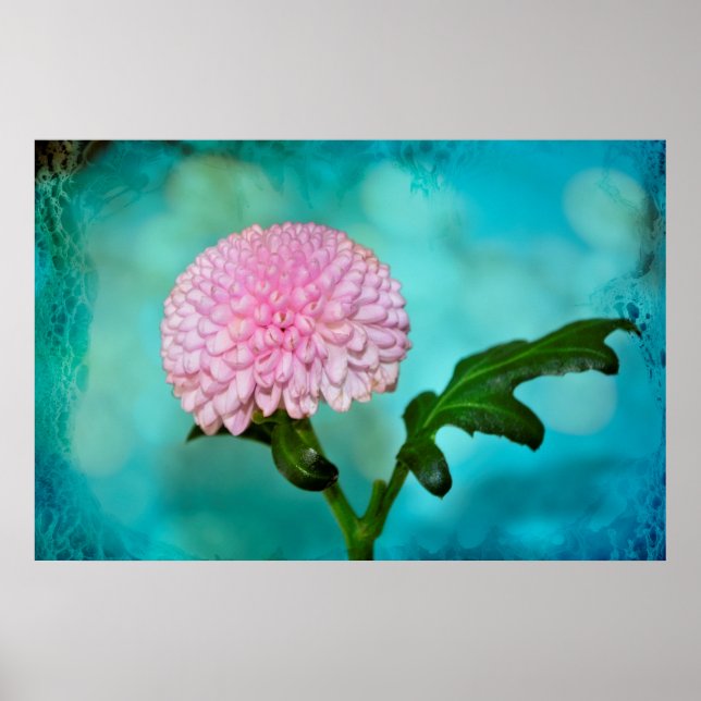 Zauberhafte Blüte Poster (Front)