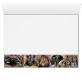 Zazrhinocollection, s   a   f   a   r   i, A   ... Cards (Inside Horizontal (Bottom))