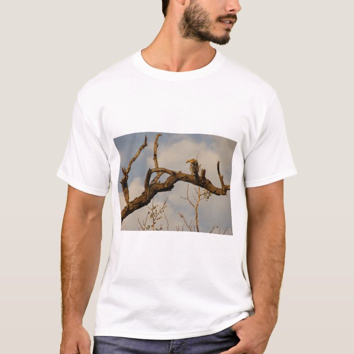 zazu shirts