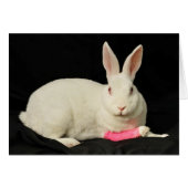 Zazzle (Front Horizontal)