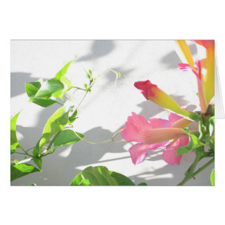 Zazzle II Cards