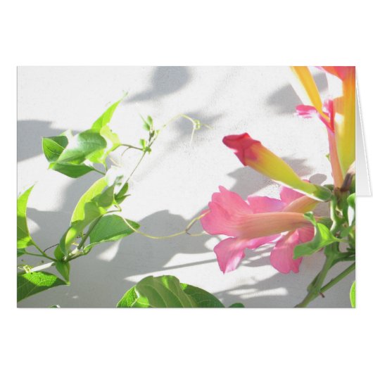 Zazzle II Cards (Front Horizontal)