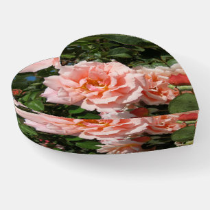 Zazzle's Beautiful Pink Roses Paperweight