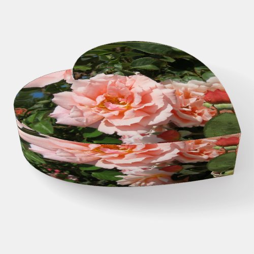 Zazzles Beautiful Pink Roses Paperweight
