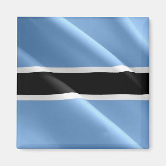 zBW002 BOTSWANA WAVING FLAG, Africa, Fridge Magnet