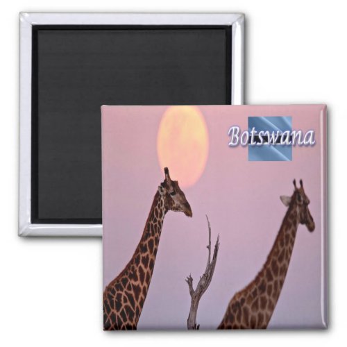 zBW012 BOTSWANA Earth Touch Giraffe Moon Fridge Magnet