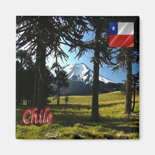 zCL026 CHILE, Araucarias, Natural Monument, Fridge Magnet