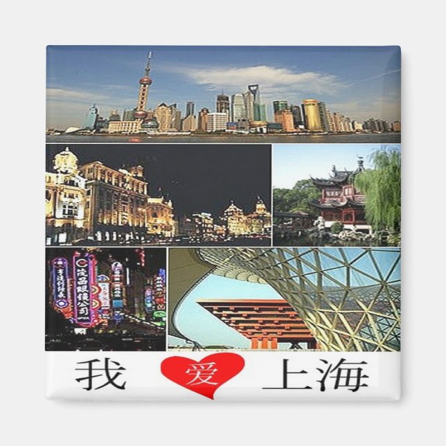 zCN024 SHANGHAI , China PRC, Souvenir, Fridge Magnet (Front)
