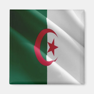 zDZ002 ALGERIA, Waving Flag, Africa, Fridge Magnet