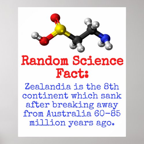 Zealandia Is The 8th Continent _ Science Fact Poster