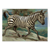 Zebra (Front Horizontal)