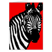 zebra. (Front)