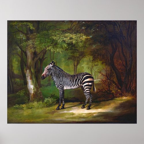 Zebra 1763 painting by George Stubbs Poster